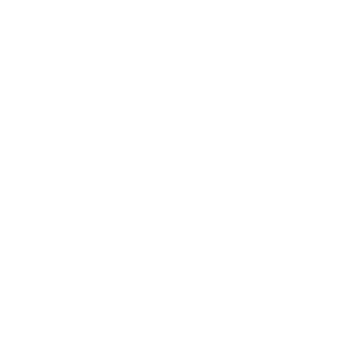 Hikviosion logo